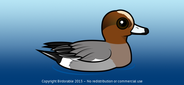 Birdorable Eurasian Wigeon 