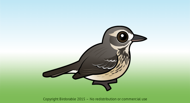 Birdorable American Pipit 