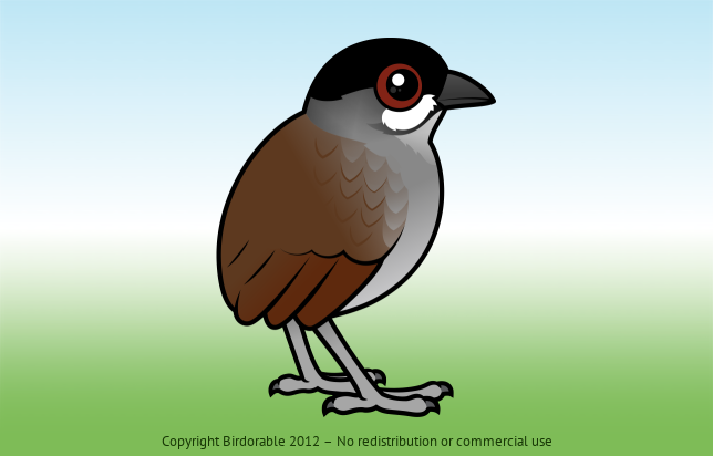Birdorable Jocotoco Antpitta 