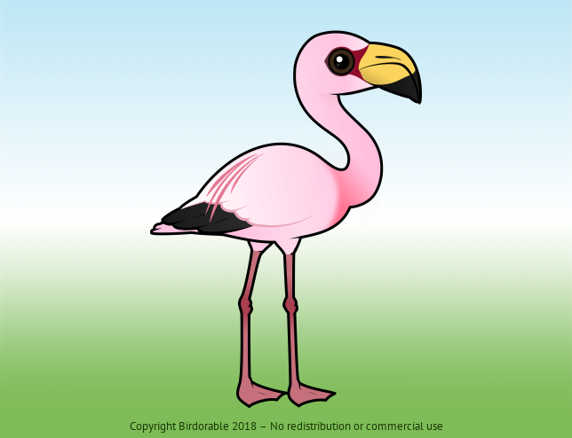 Birdorable James's Flamingo 
