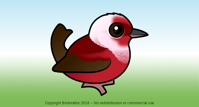 Birdorable Pink-headed Warbler 