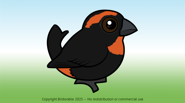 Birdorable Puerto Rican Bullfinch 