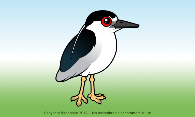 Birdorable Black-crowned Night Heron 