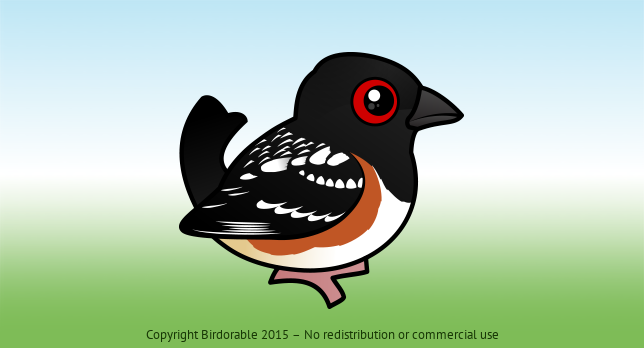Birdorable Spotted Towhee 