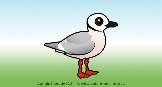 Birdorable Ross's Gull 