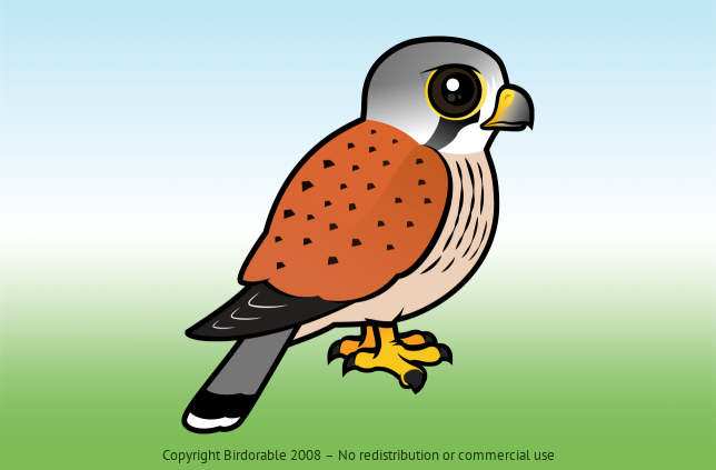 Birdorable Common Kestrel 