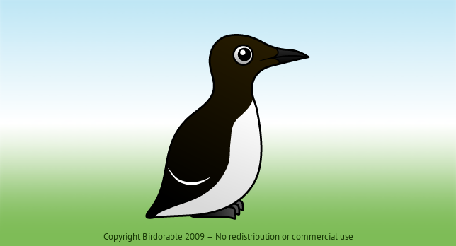 Birdorable Common Murre 