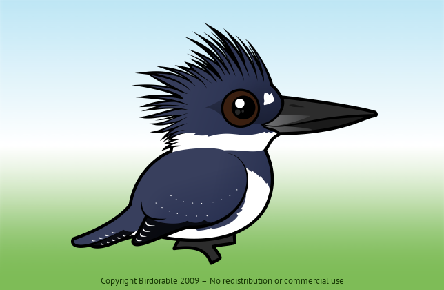 Birdorable Belted Kingfisher Male