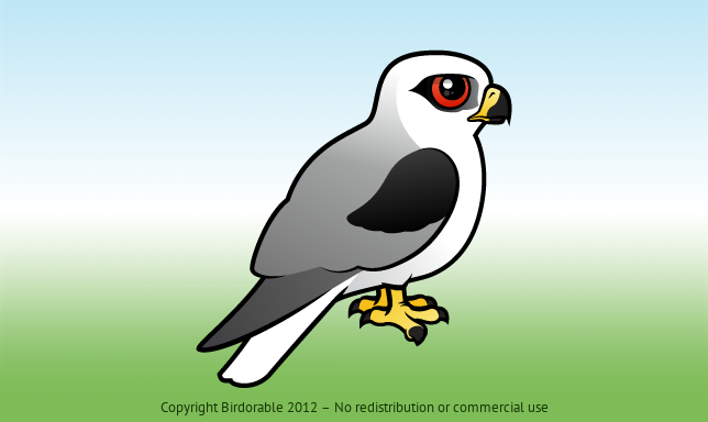 Birdorable White-tailed Kite 