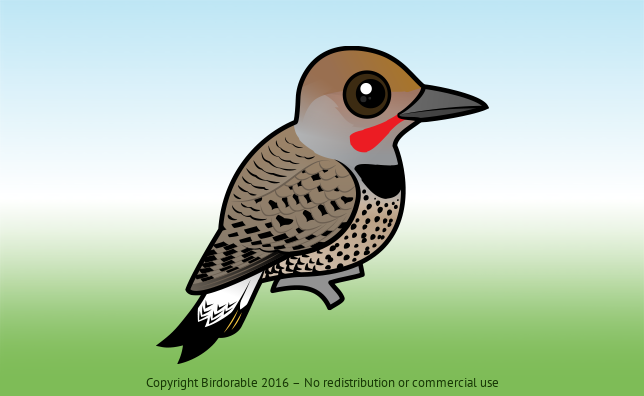 Birdorable Gilded Flicker 