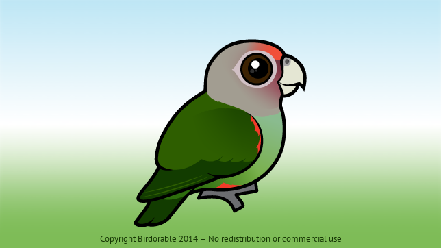 Birdorable Uncape Parrot 