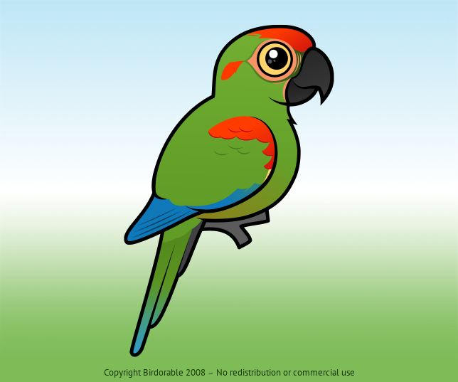 Birdorable Red-fronted Macaw 