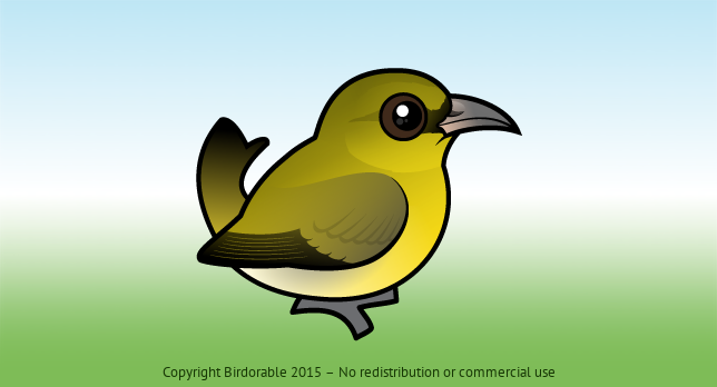 Birdorable Hawai'i 'Amakihi 