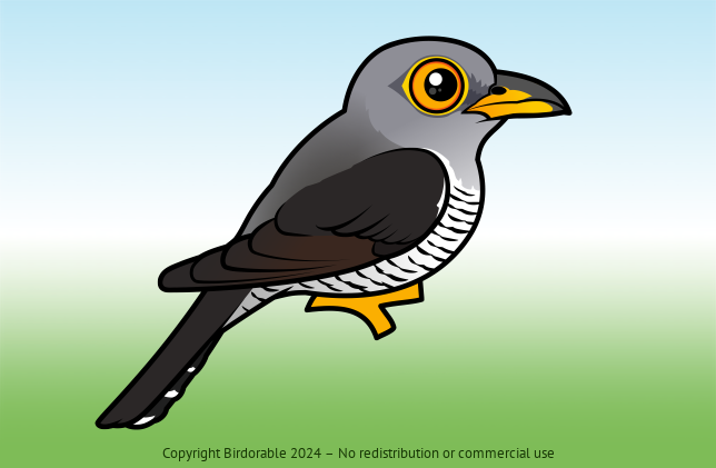Birdorable Common Cuckoo 