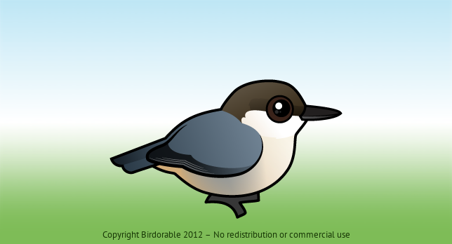 Birdorable Pygmy Nuthatch 
