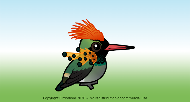 Birdorable Tufted Coquette 