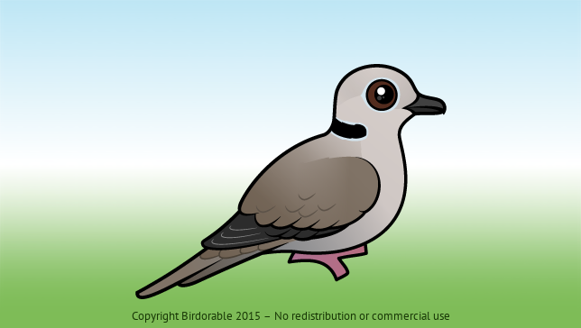 Birdorable Eurasian Collared Dove 