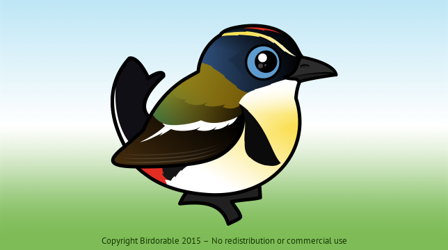 Birdorable Many-colored Rush Tyrant 