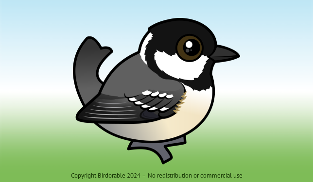 Birdorable Coal Tit 