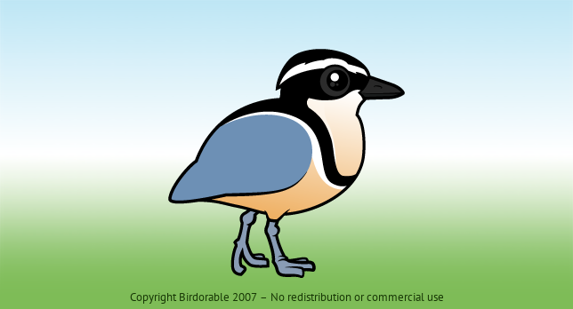 Birdorable Egyptian Plover 