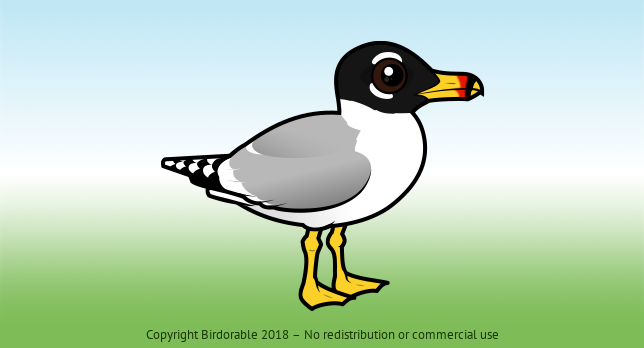 Birdorable Pallas's Gull 