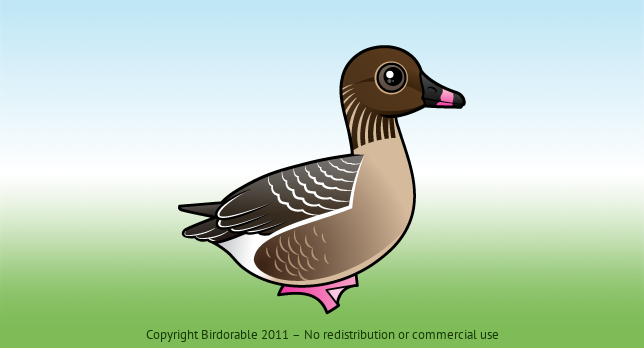 Birdorable Pink-footed Goose 