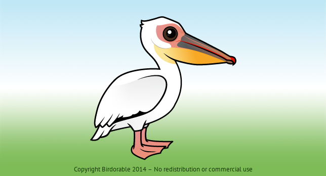 Birdorable Great White Pelican 