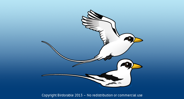 Birdorable White-tailed Tropicbird 