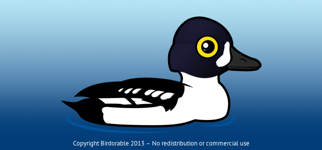 Birdorable Barrow's Goldeneye 