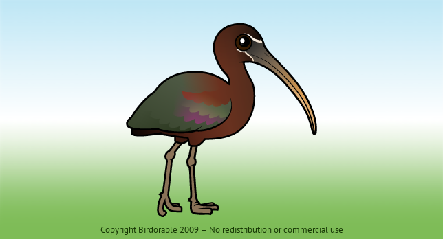 Birdorable Glossy Ibis 