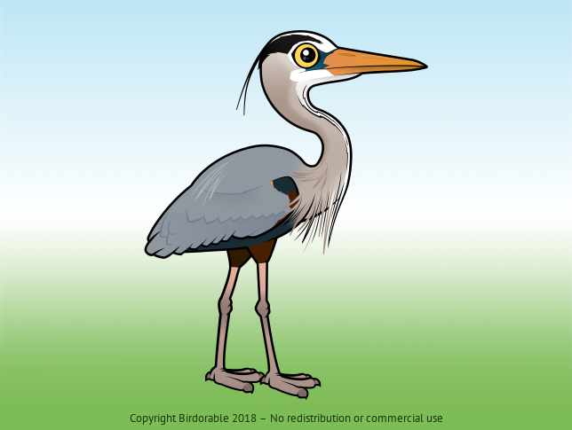 Birdorable Great Blue Heron Regular Morph