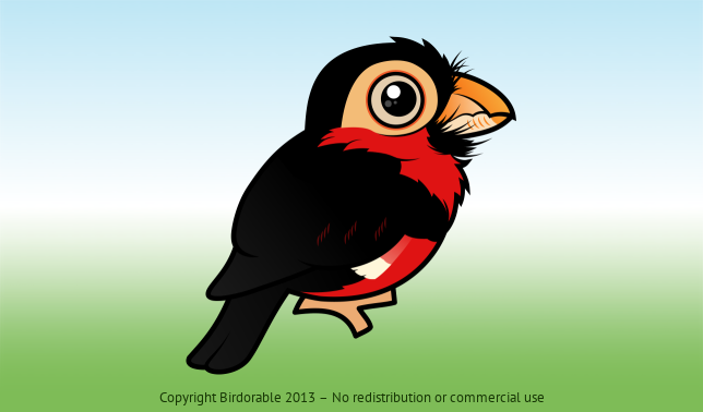 Birdorable Bearded Barbet 