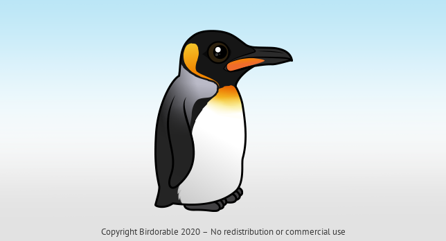 Birdorable King Penguin 