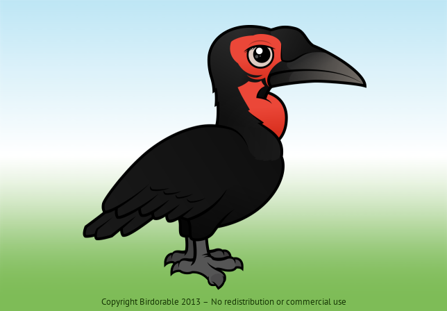 Birdorable Southern Ground Hornbill 