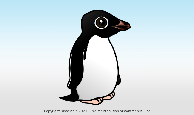 Birdorable Adelie Penguin 