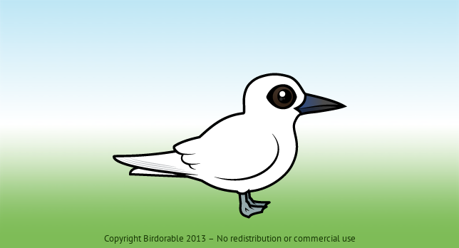 Birdorable White Tern 