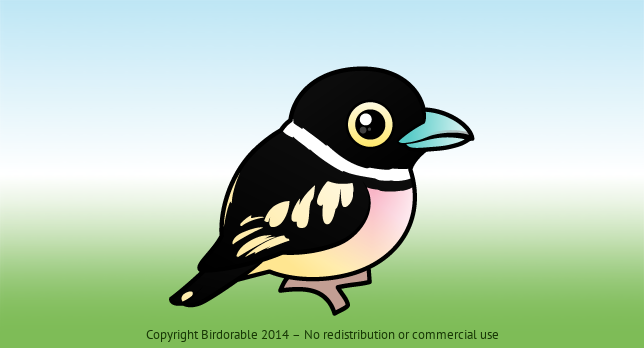 Birdorable Black-and-yellow Broadbill 