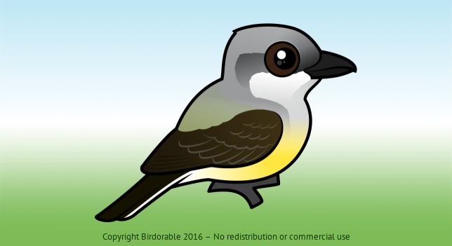 Birdorable Western Kingbird 