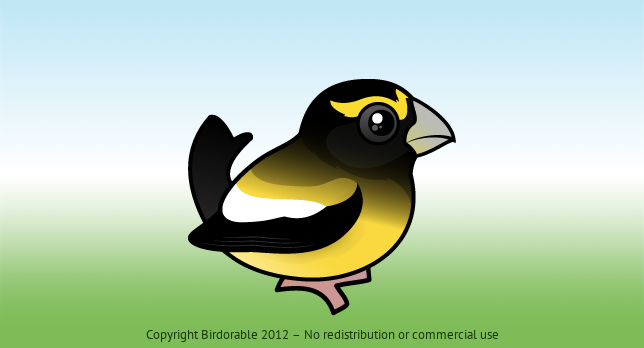 Birdorable Evening Grosbeak 