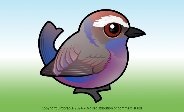 Birdorable White-browed Tit-Warbler 