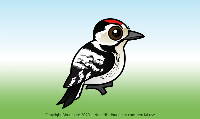 Birdorable Lesser Spotted Woodpecker 