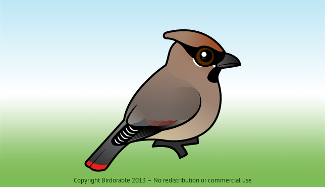 Birdorable Japanese Waxwing 