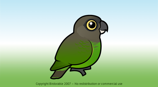 Birdorable Brown-headed Parrot 