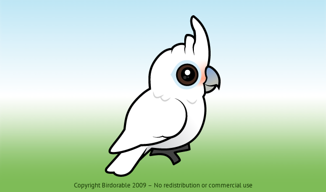Birdorable Tanimbar Corella 