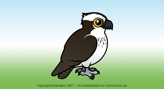 Birdorable Osprey 