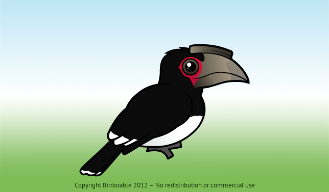 Birdorable Trumpeter Hornbill 