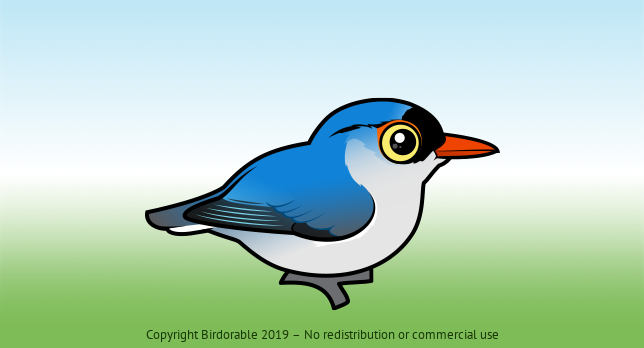 Birdorable Velvet-fronted Nuthatch 