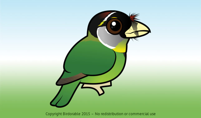 Birdorable Fire-tufted Barbet 