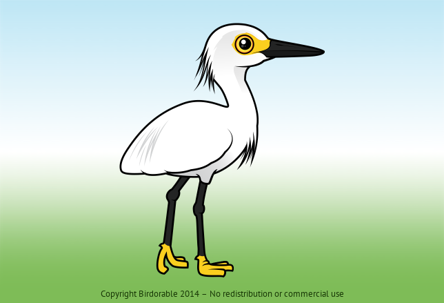 Birdorable Snowy Egret 