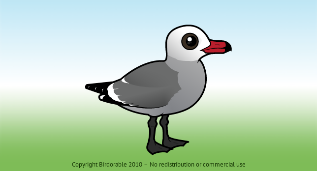 Birdorable Heermann's Gull 
